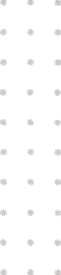 Kurumsal